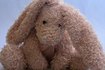 how to clean stuffed toys with baking soda