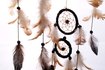 How To Preserve Feathers For Crafts