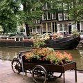 Top Places to Visit in the Netherlands