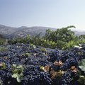Hotels in the Napa Area
