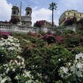 What Type of Flowers Grow in Italy?