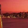 Things to Do in San Francisco at Christmas