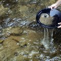 Gold Panning in Oregon