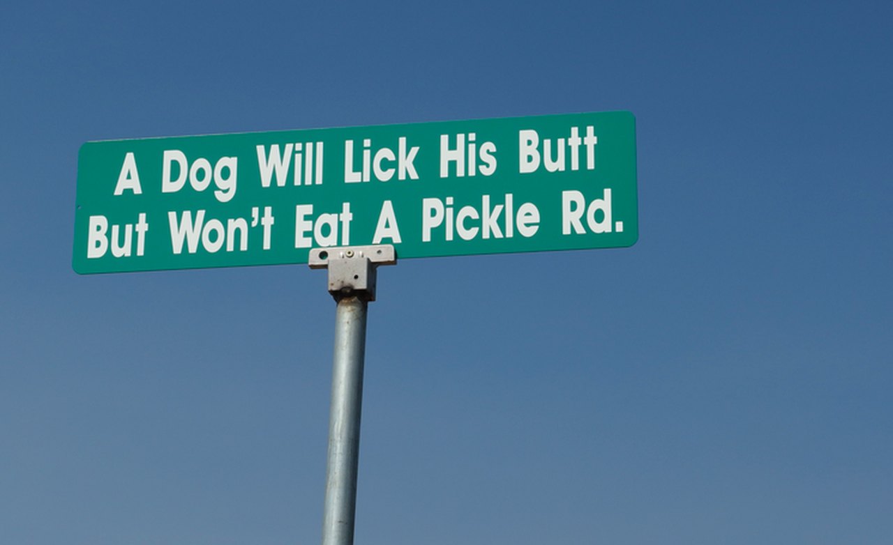 a dog will lick his butt rd