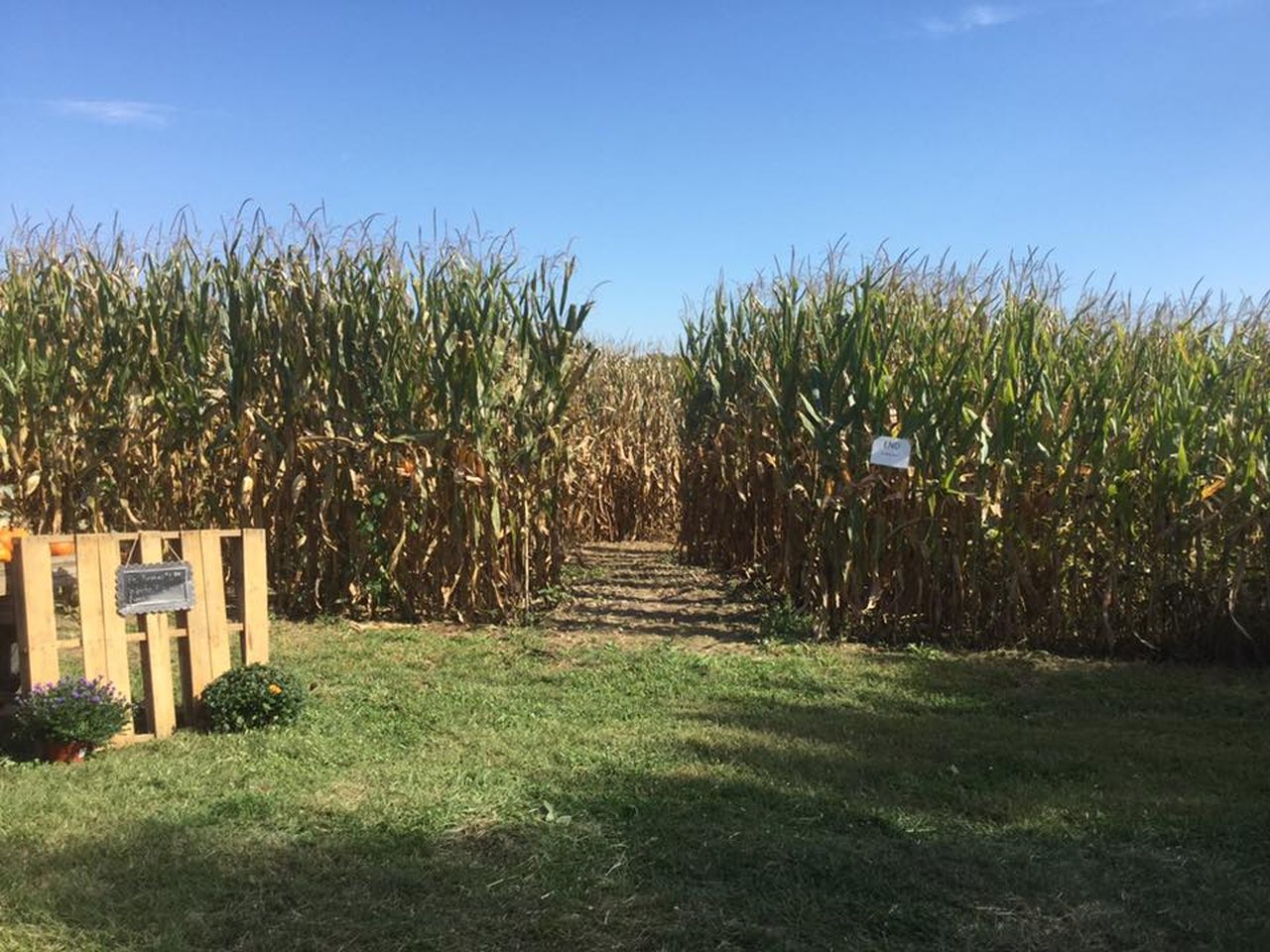 8 Great Corn Mazes In Ohio For The Best Fall Ever