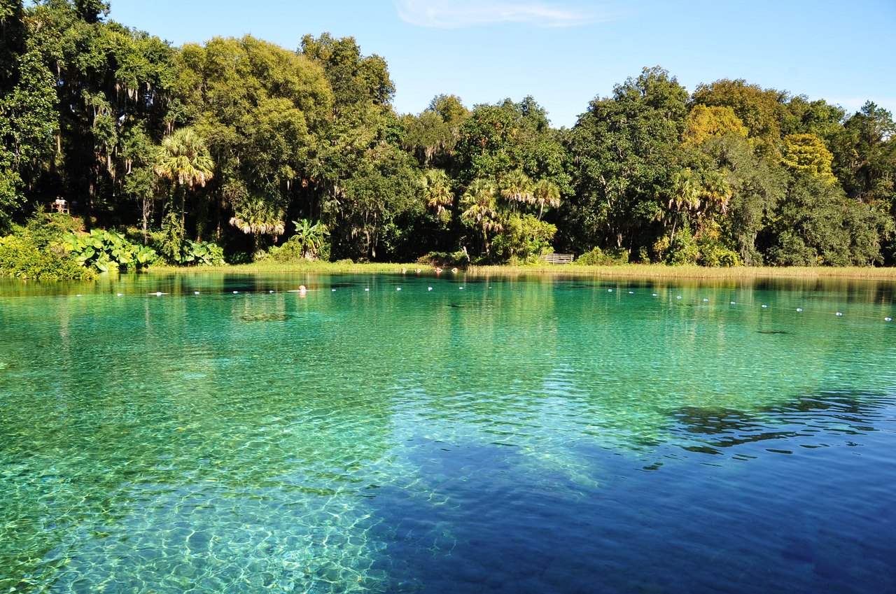 It's Never Not a Good Time to Visit Florida's Incredible Natural Springs