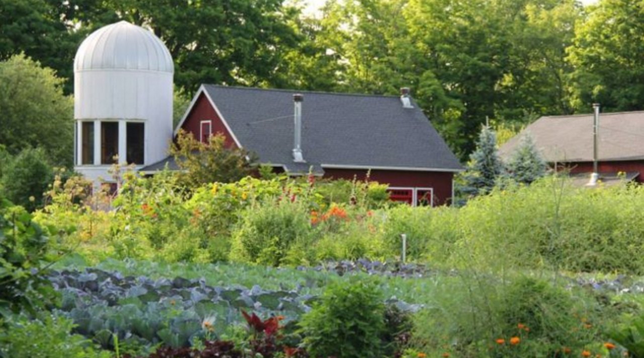 10 Incredibly Fun Farms In Connecticut