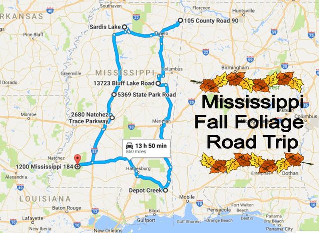 this-road-trip-takes-you-to-the-best-fall-foliage-in-mississippi