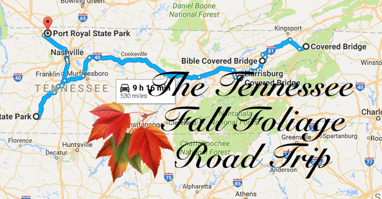 Take This Road Trip To View The Best Fall Foliage in Tennessee