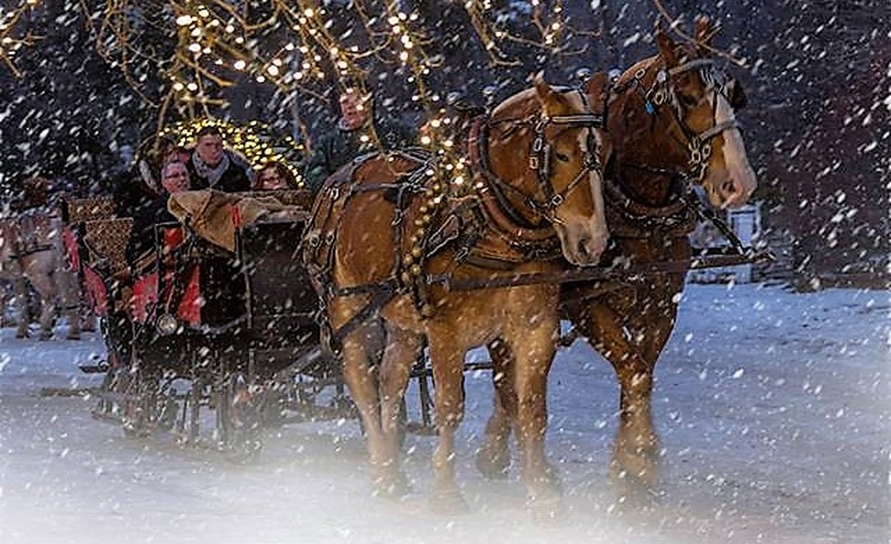 The Jingle Bell Chocolate Tour Is The Sleigh Ride You Must Try In New