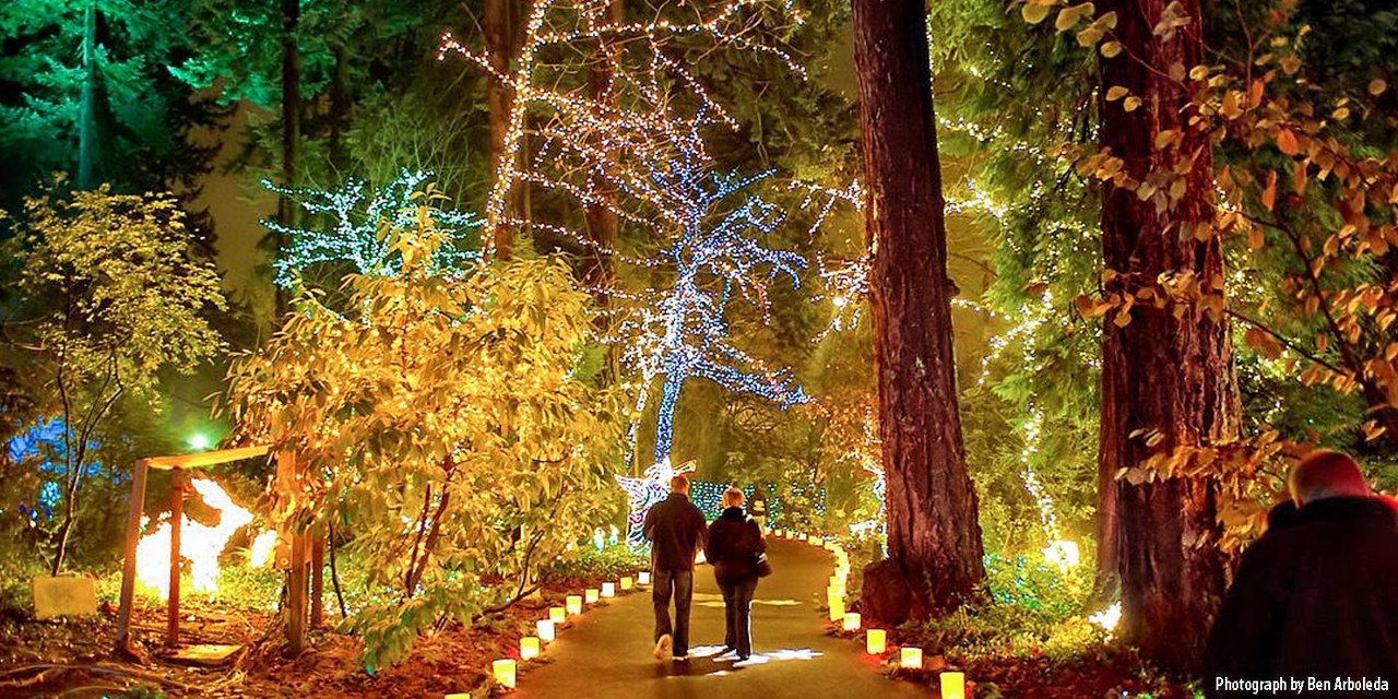 6 Best Christmas Lights Near Portland