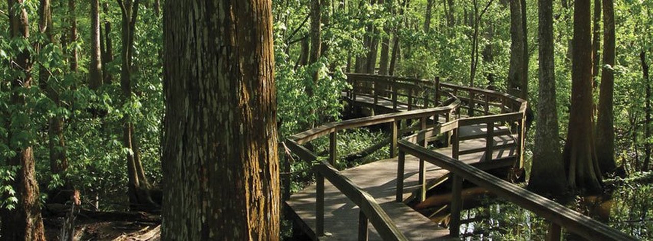 Louisiana's Hidden Gem: Longville Lake Park - Where Nature Meets Adventure