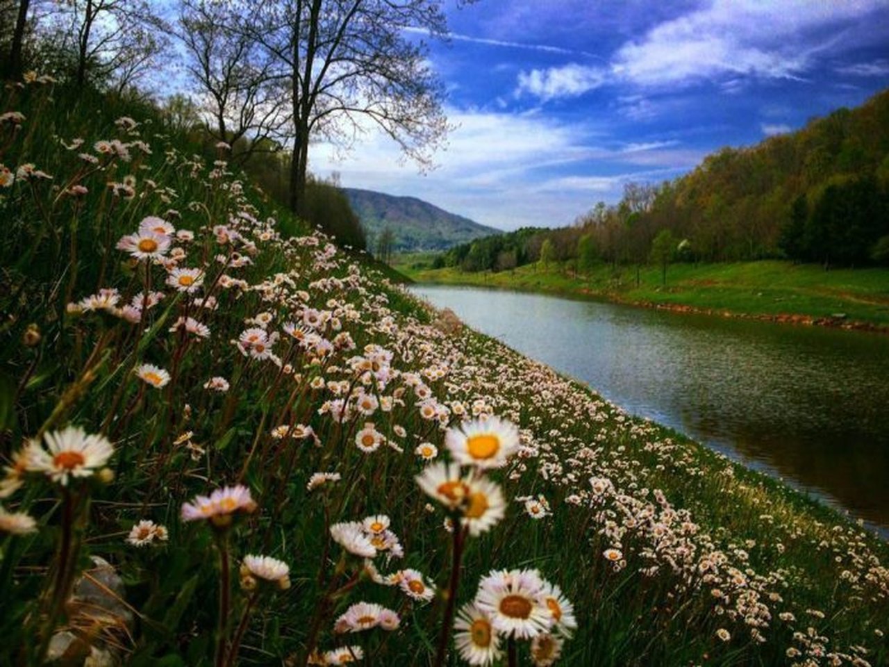 11 Places In Virginia You Need To Visit This Spring