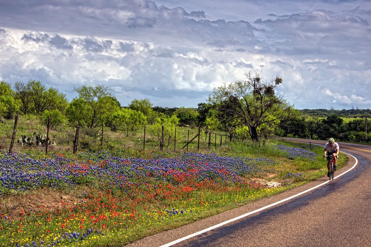 Willow City Loop Is The Most Beautiful Wildflower Trail In Texas