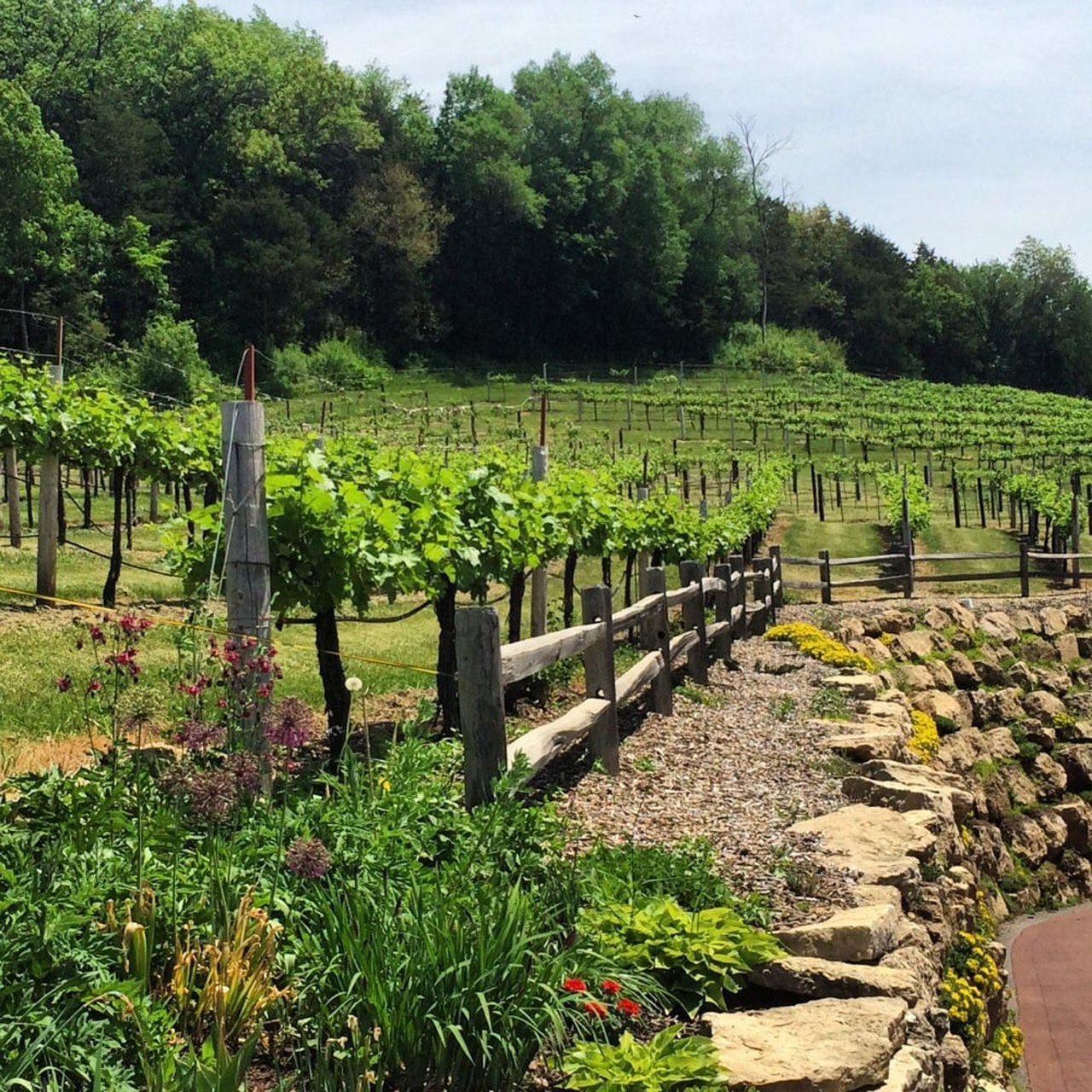 the-13-most-stunning-wisconsin-wineries-you-should-visit