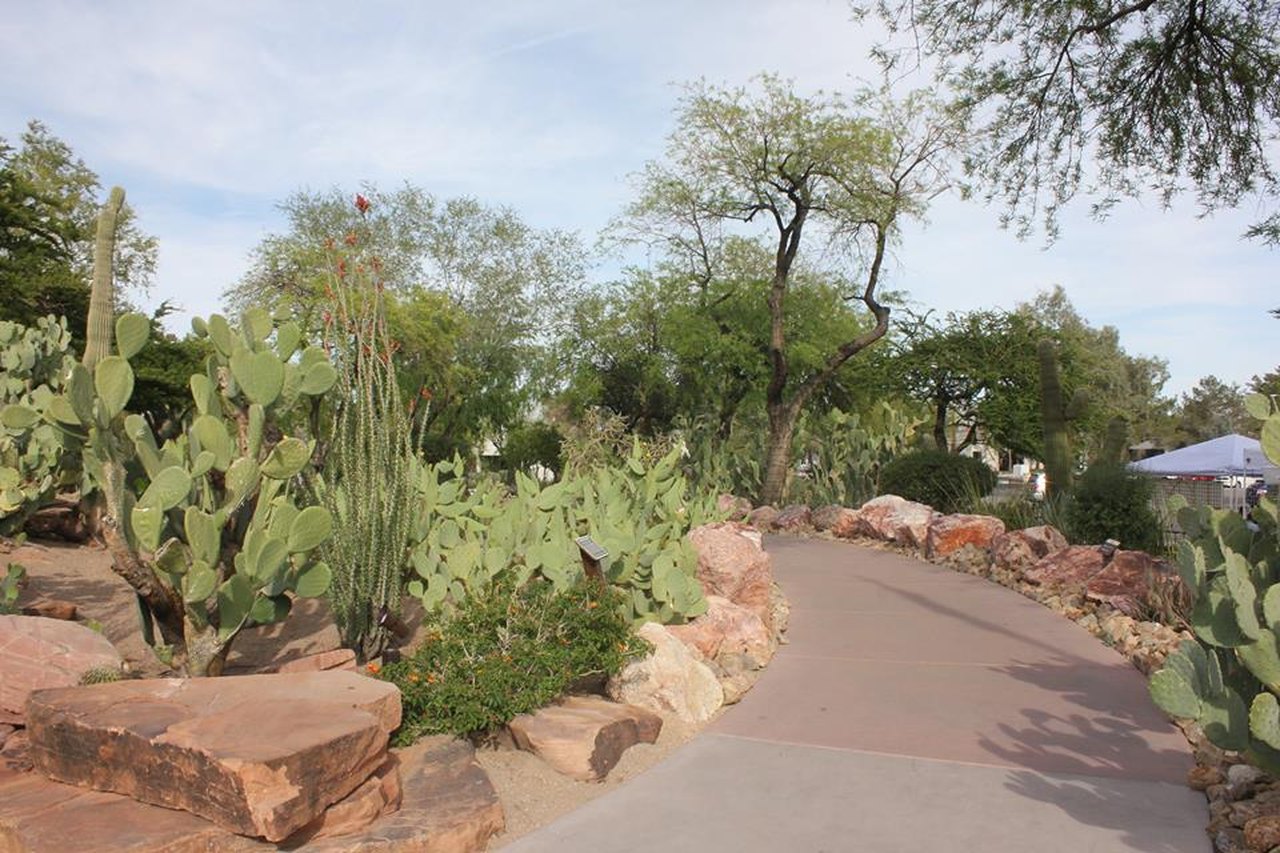 Visit Our 3-Acre Botanical Cactus Garden