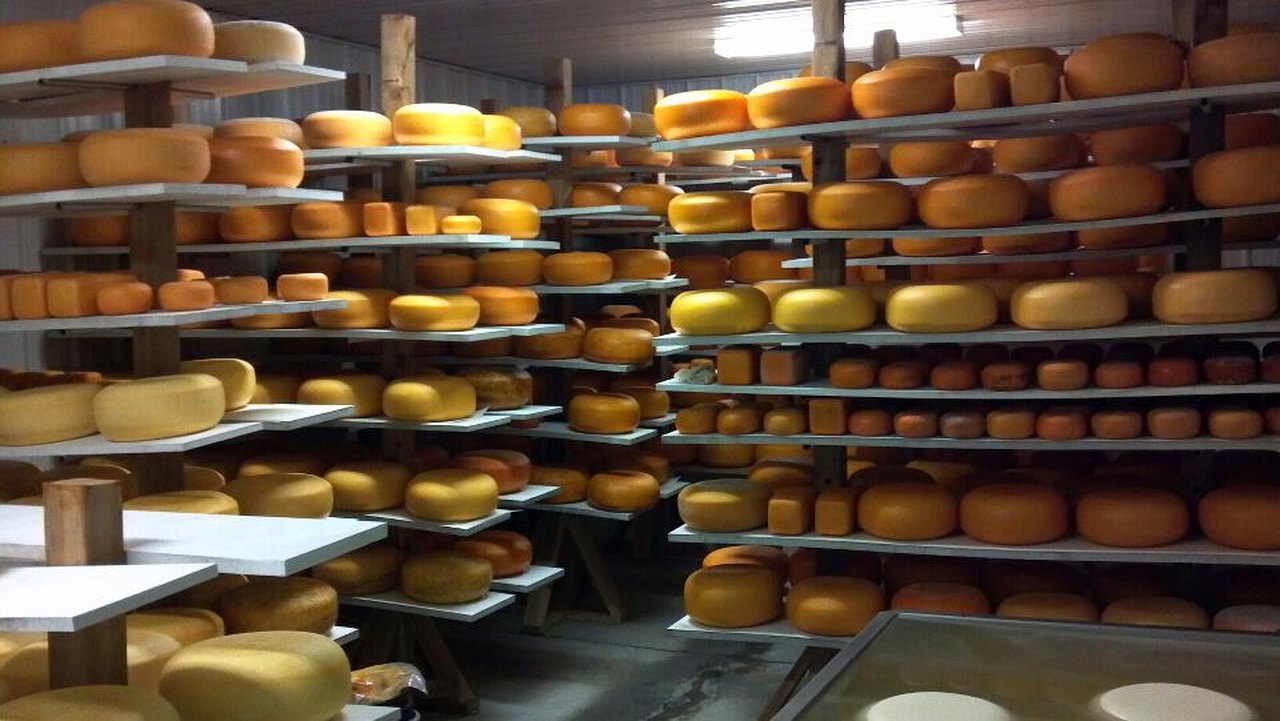Frisian Farms Cheese House At Drive-Through Bite Size Market