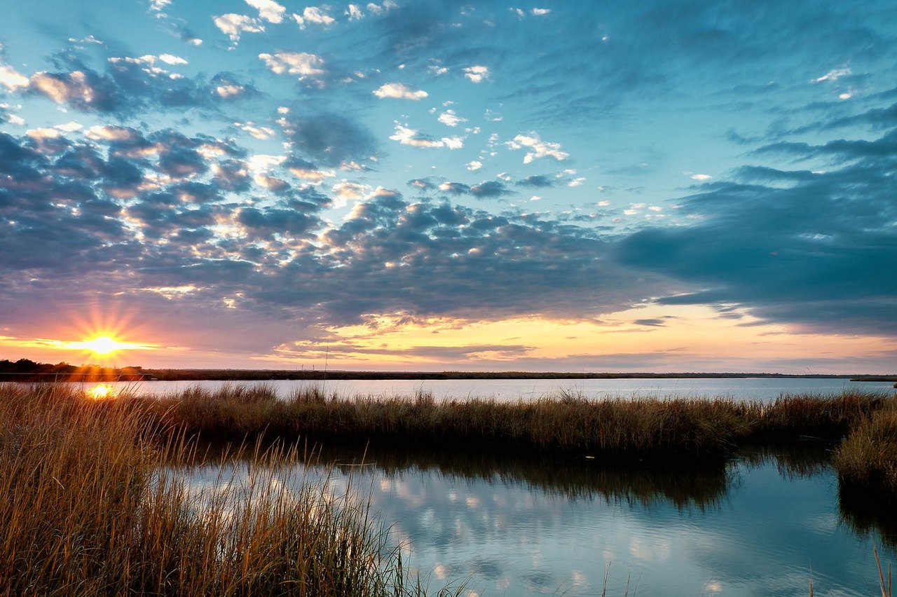 13-things-that-will-always-make-louisianians-think-of-home