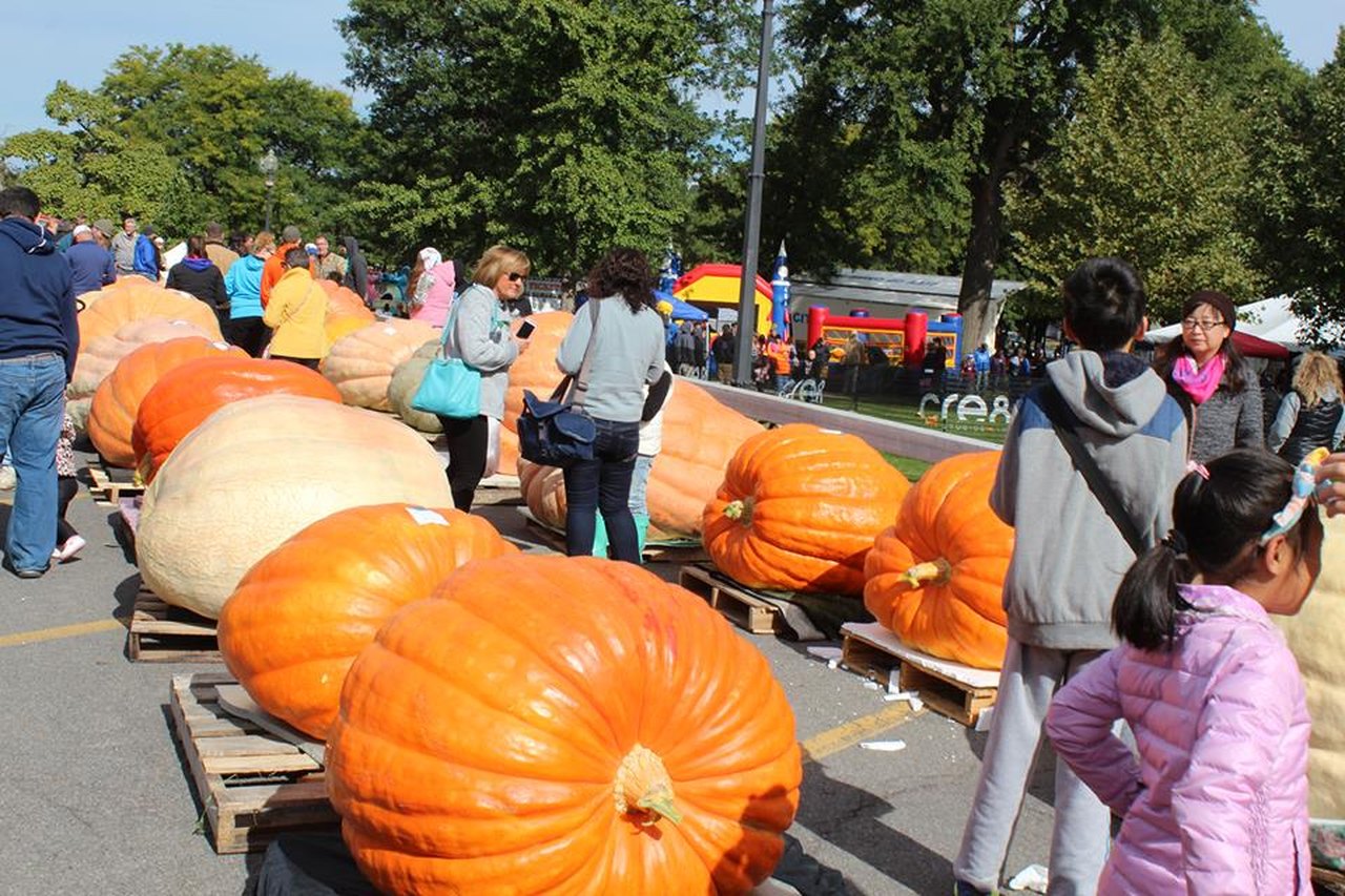 13 Harvest Festivals In New York That Will Make Your Autumn Awesome