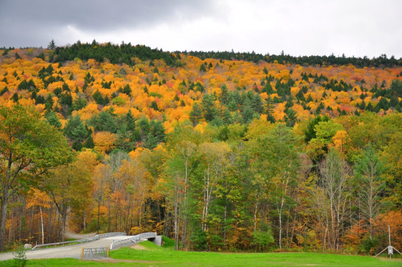 This Map Shows You When To See Fall Foliage In Massachusetts