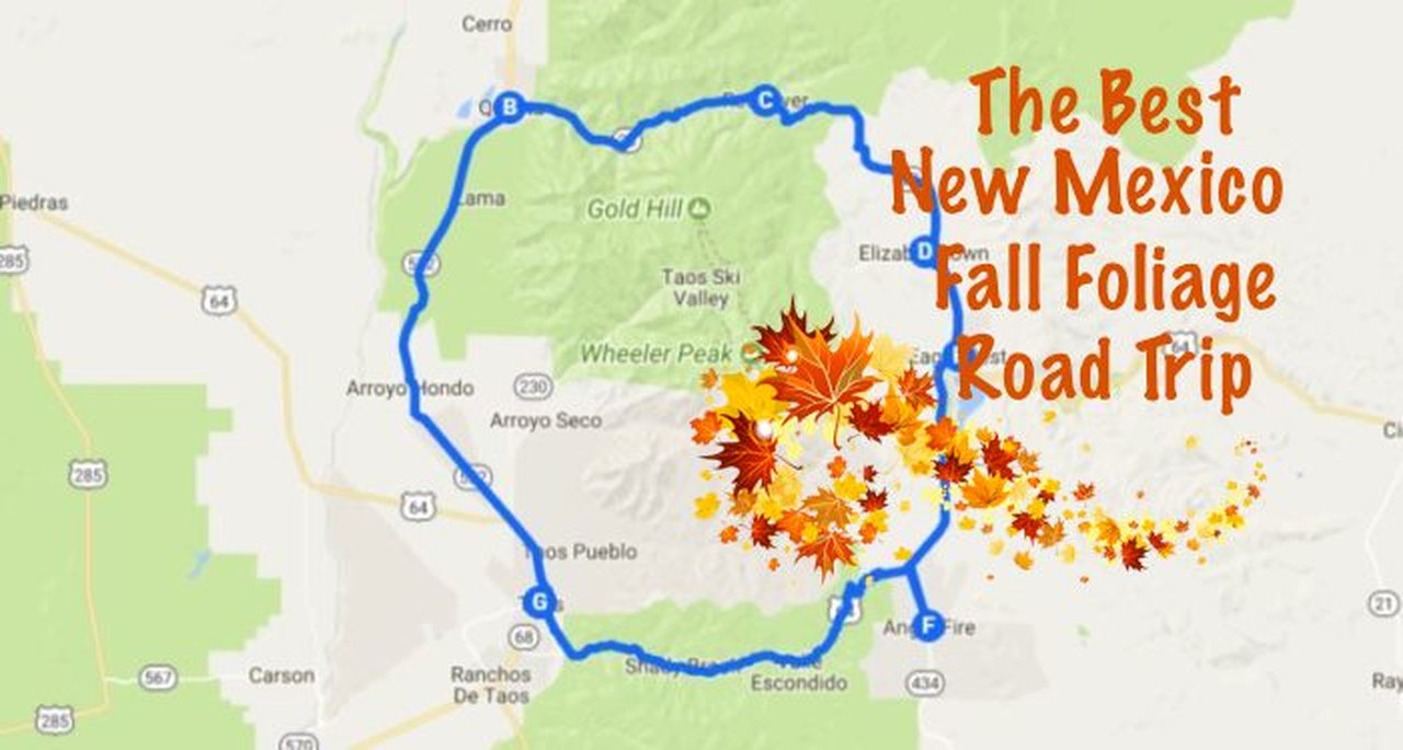 See The Best Fall Foliage In New Mexico On This Scenic Road Trip