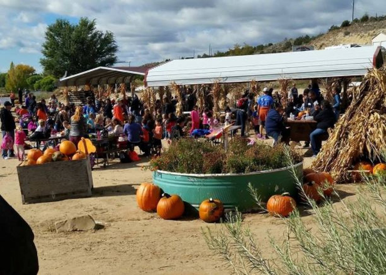 7 FamilyFriendly Fall and Harvest Festivals in New Mexico