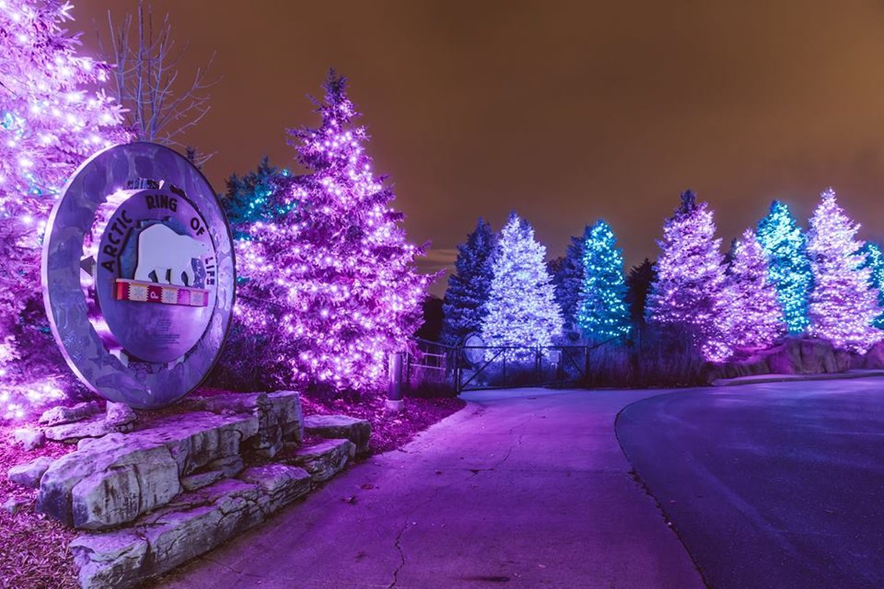 9 Best Christmas Things To Do In Michigan