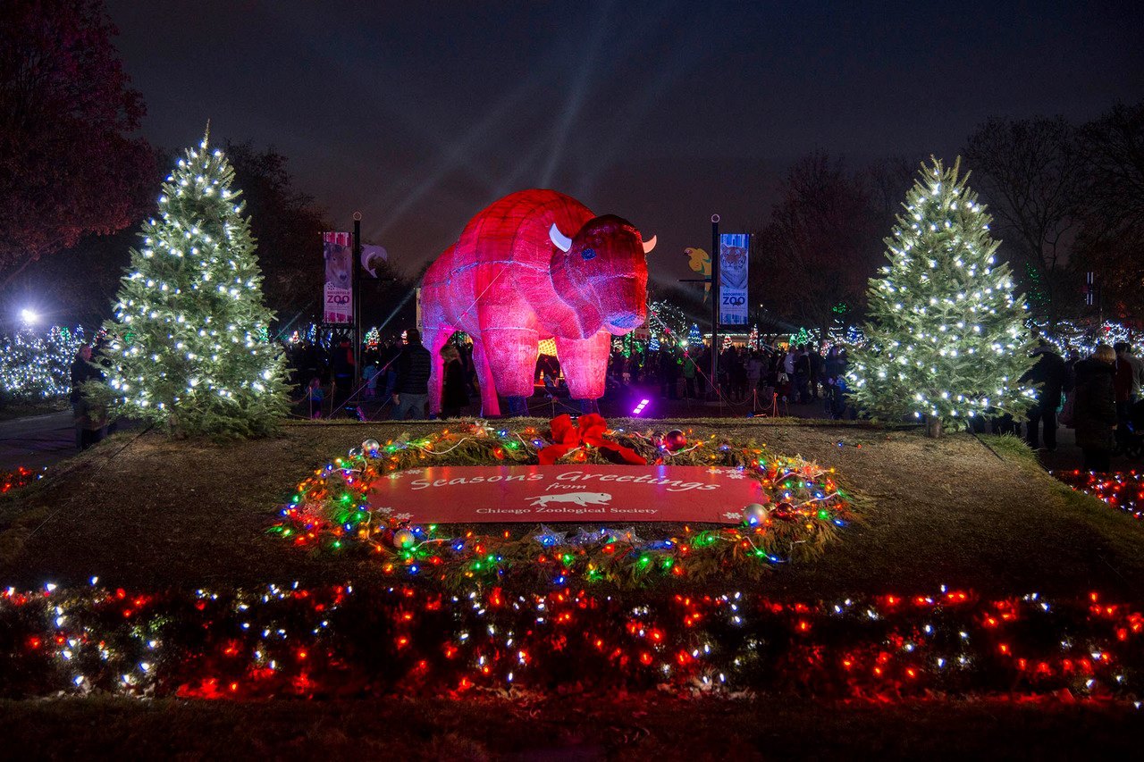 Brookfield Zoo In Chicago Has Over 1 Million Holiday Lights