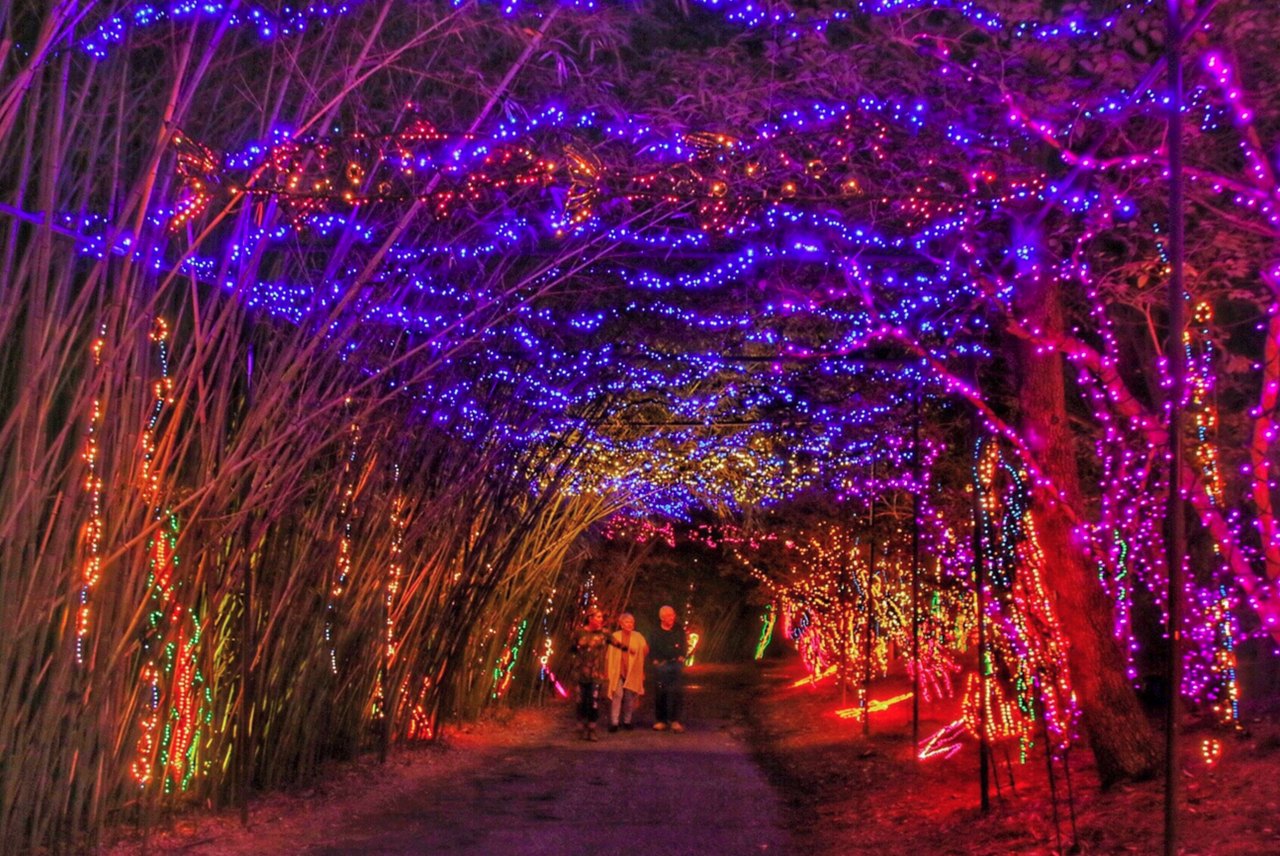 Magic Christmas In Lights At Bellingrath Gardens And Home Is The Best