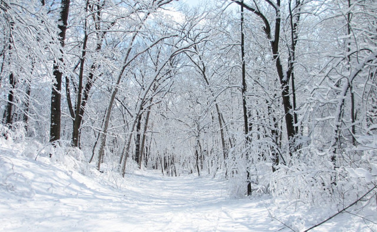 Here Are 12 Awesome Winter Day Trips In Wisconsin