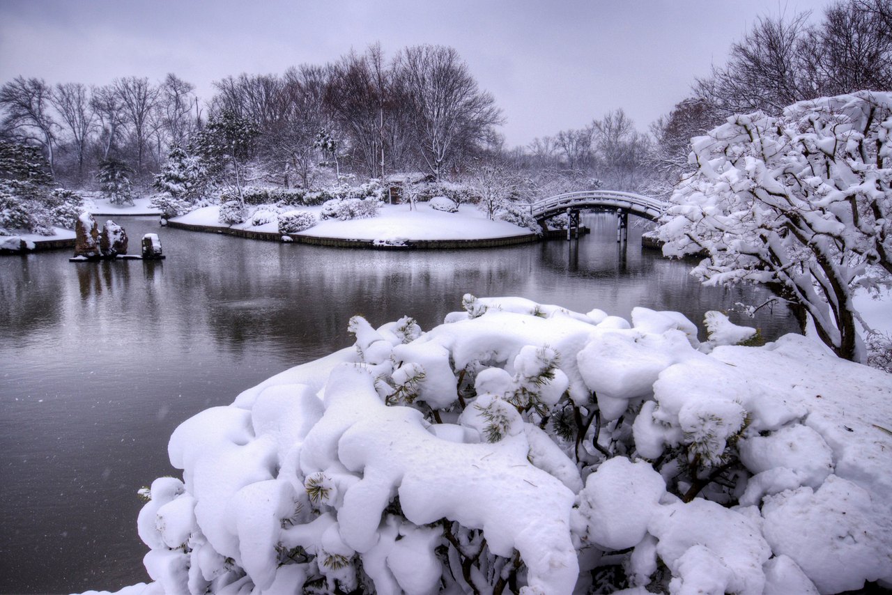 11 Reasons You Really Should Visit St. Louis In The Wintertime