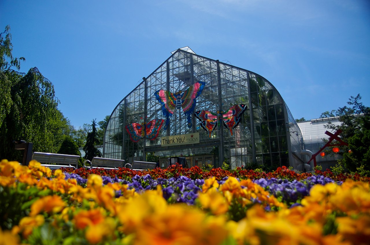 Krohn Conservatory Is A Magical Butterfly House During Spring In Cincinnati