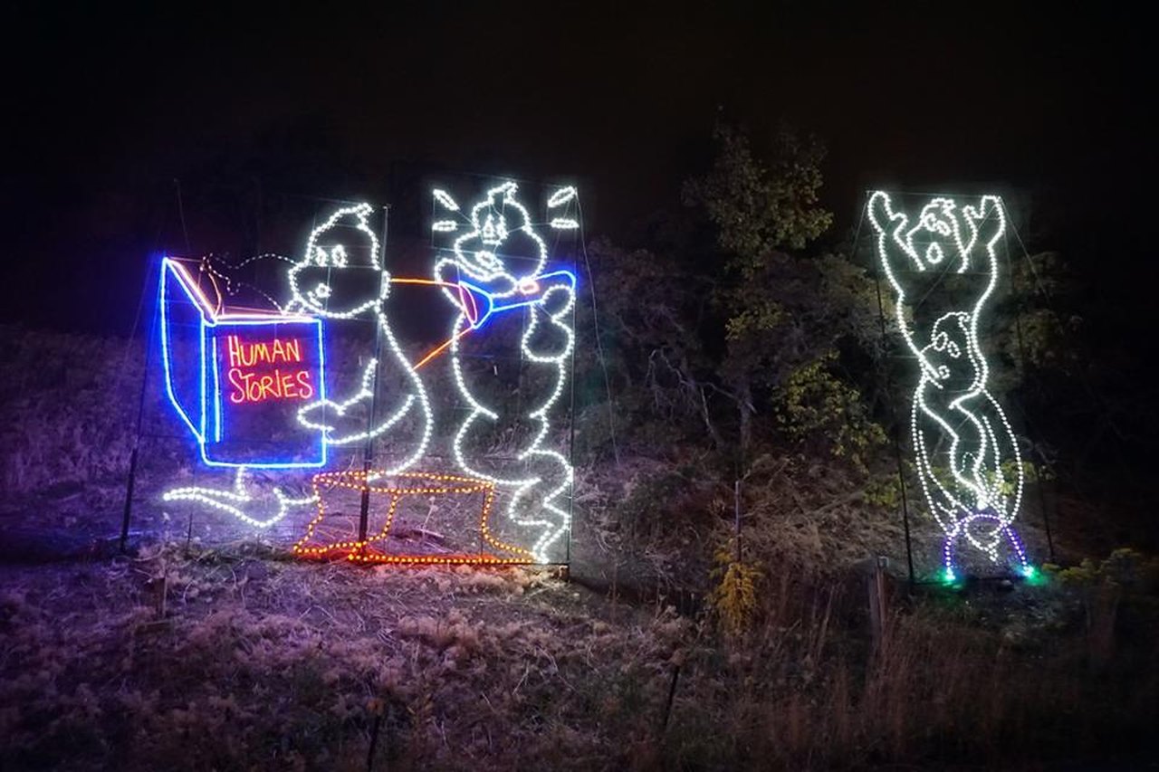 Visit Utah's Hogle Zoo Boo Lights This Fall For A Fun Family Activity