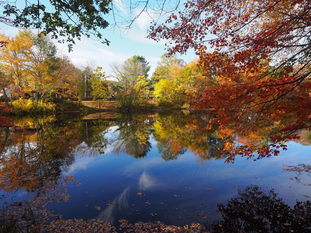 The 8 Best LeafPeeping Places To See Fall Foliage In Rhode Island
