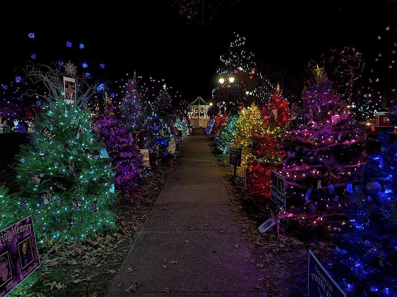 Best Christmas Tree Trail In Ohio Gallipolis in Lights