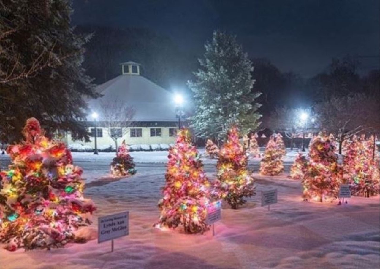 Slater Park Christmas Trees Trail In Rhode Island Is Holiday Magic