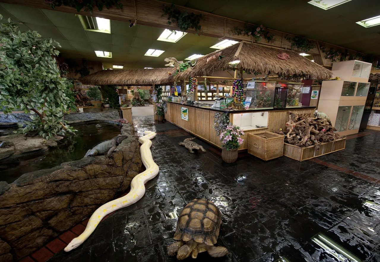 The Reptile Zoo In Southern California Is Unlike Anything You've Seen