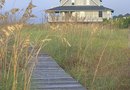 Renting an apartment vs buying a house essay