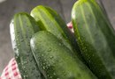 download free pruning cucumber plants
