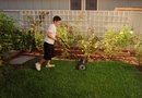 grow home image effects grow home image effects