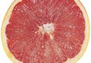 does grapefruit burn belly fat