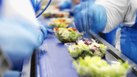 how much does a food service worker make an hour