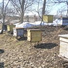 C Mo Construir Colmenas De Abejas Y Estructuras De Base