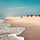 How To Camp In New Jersey Near The Beaches Gone Outdoors