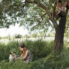 Maria Teijeiro/Lifesize/Getty Images Grass under trees can be hard to mow.