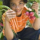 Jupiterimages/Brand X Pictures/Getty Images Radishes are vulnerable to pests that affect all members of the cabbage family.