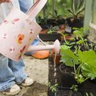 Jupiterimages/BananaStock/Getty Images Rooting hormones improve root development in new plants.