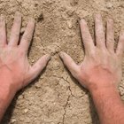 Jupiterimages/Photos.com/Getty Images Revitalize parched fingers with a thick moisturizing cream.
