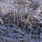 Hemera Technologies/Photos.com/Getty Images Draining your pipes before the winter freeze prevents springtime floods.
