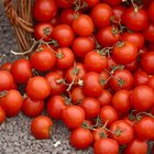 Do tomatoes have carbs?
